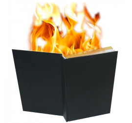 LIVRE EN FEU / FIRE BOOK