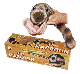 The Raccoon - 100%...