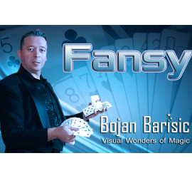 Fansy by Bojan Barisic